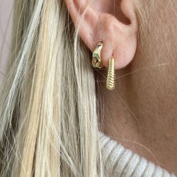 Hoops Rookie - forgyldt 