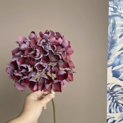 Hortensia 40cm