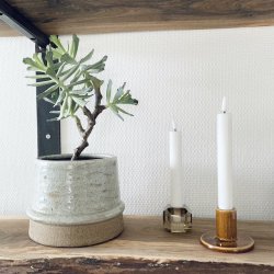 Huslg 4 hoveder i potte