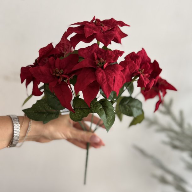 Julestjerne buket H 34 cm