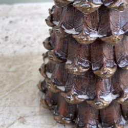 Fyrretr D10x28cm poly Nature