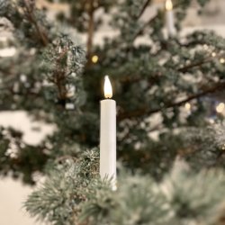 Juletrslys LED 6 stk - coated med stearin