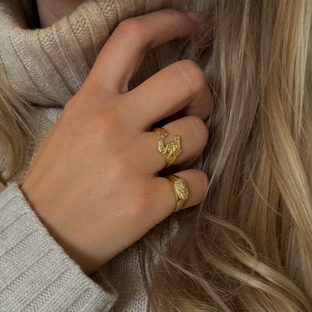 Fingerring Adika elements forgyldt slv