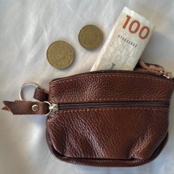 Lille pung dusty med nglering skind