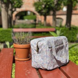 Kletaske summer flower