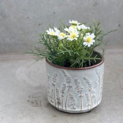 Skjuler lille gr keramik