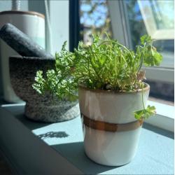 Krus Horizon Keramik