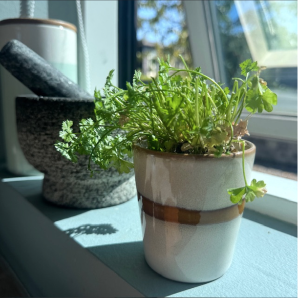 Krus Horizon Keramik