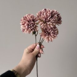 Krysantemum stilk H 53cm