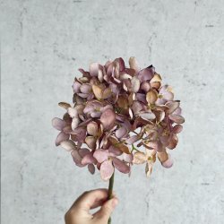Romantisk hortensia 43cm