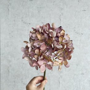 Romantisk hortensia 43cm