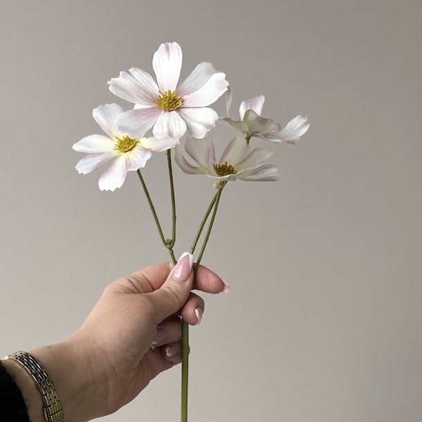 Brudeslr stilk / Stolt kavaler