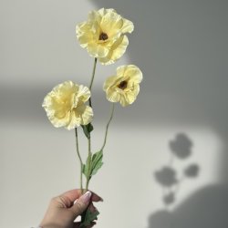 Japansk ranunkel H 62 cm