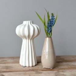 Perlehyacint bl H 20 cm