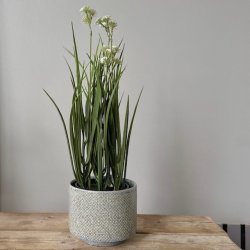 Potteskjuler keramik