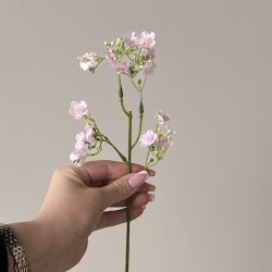 Brudeslr stilk / Stolt kavaler