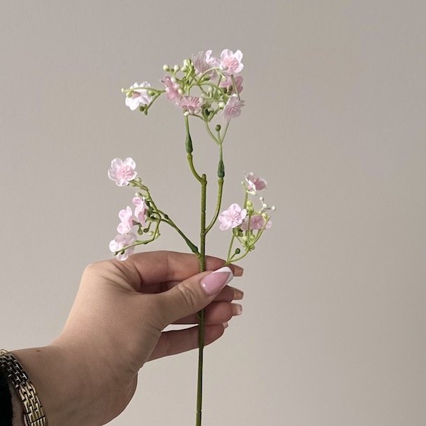 Brudeslr stilk / Stolt kavaler