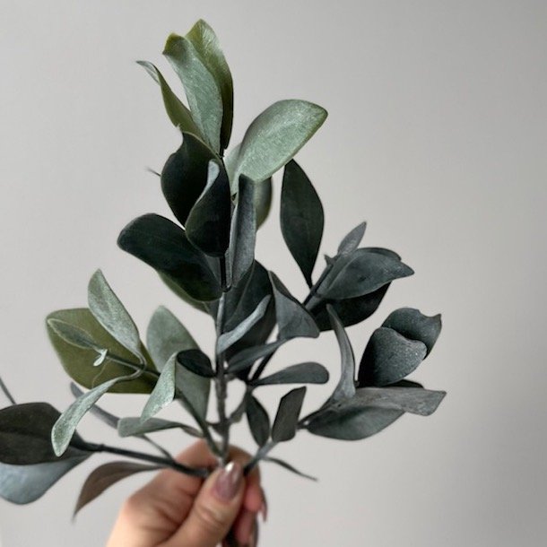 Eukalyptus stilk 30cm