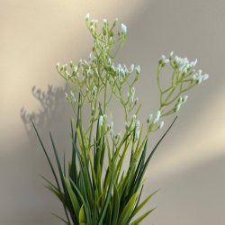 Plante m/blomster H 30cm