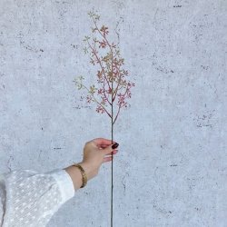 Eukalyptus blomst p stilk 46cm