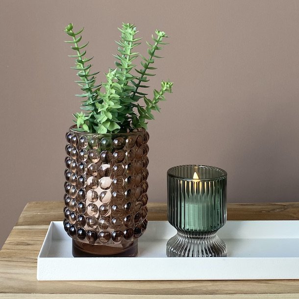 Sukkulent grn H 20 cm