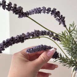 Lavendel stilk / Ranunkel stilk