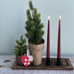 Lille grantr i potte