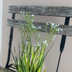 Plante m/blomster H 30cm