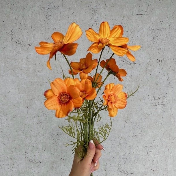 Stolt kavaler bundt orange H 48 cm