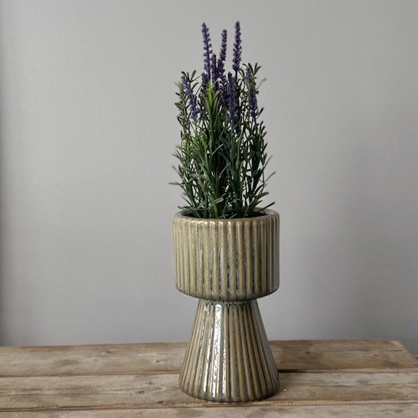 Lavendel i pot H30cm