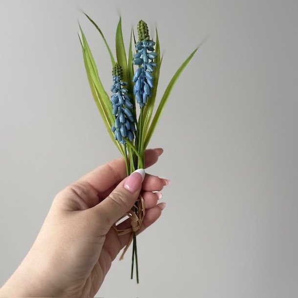 Perlehyacint bl H 20 cm