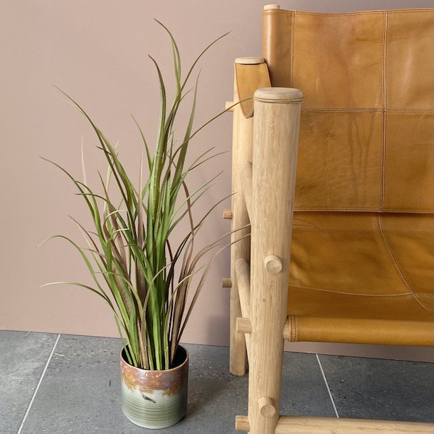 Agave 68 cm