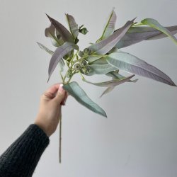 Eukalyptus stilk 70cm