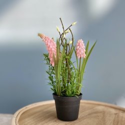 Perlehyacinth mix i pottle 26 cm pink