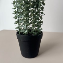 Potteplante 72cm