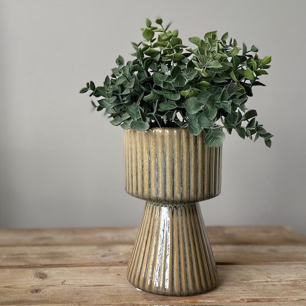 Eukalyptus i pot H23 cm