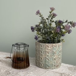 Sukkulent i potte 30 cm lilla