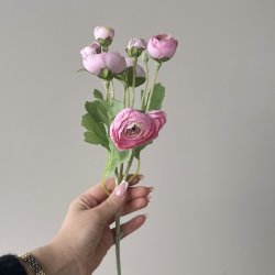 Lavendel stilk / Ranunkel stilk