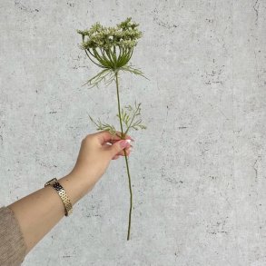 Skrmblomst hvid H 45 cm