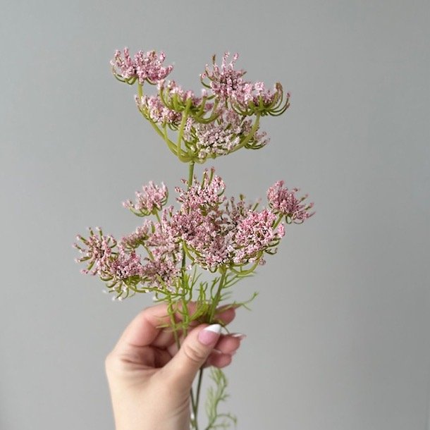 Skrmblomst rosa H 50 cm