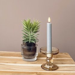 Sukkulent i potte H 17 cm