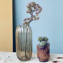 Gren med br 48 cm lilla