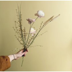 Markblomst creme-rosa 60cm