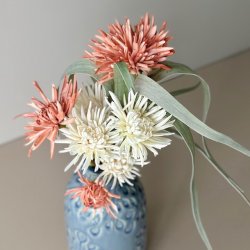 Georgine / Krysantemum stilke