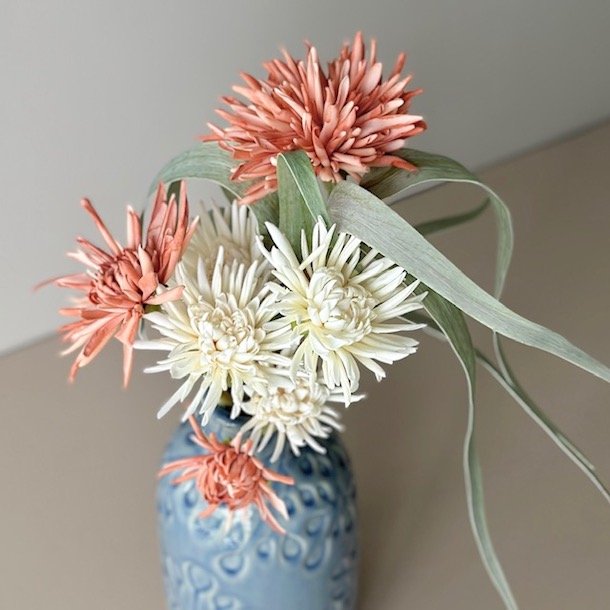 Georgine / Krysantemum stilke