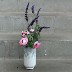 Lavendel stilk / Ranunkel stilk