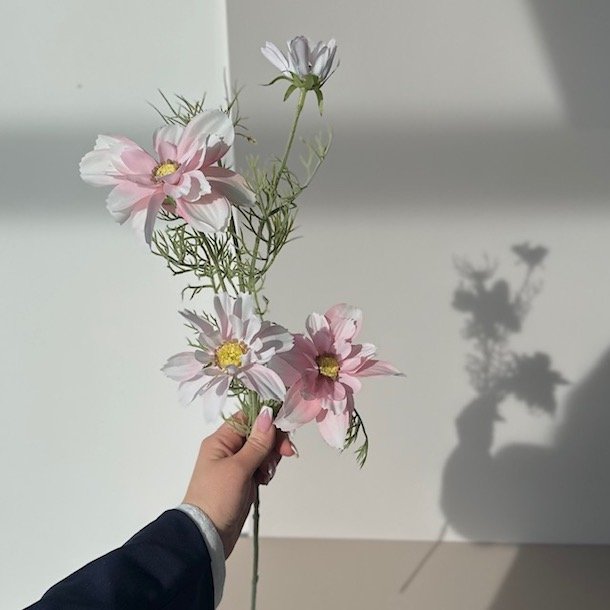 Stolt kavaler H 65 cm