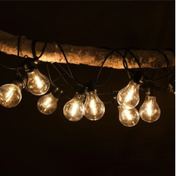 Lyskde forlnger med 10 prer sort