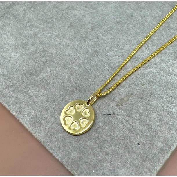 Ladies circle vedhng jubilum - forgyldt slv