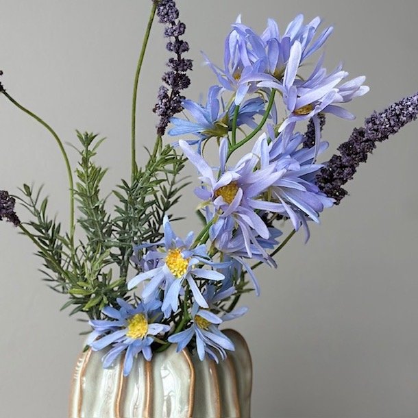 Aster tataricus / Nellike / Blomster stilk